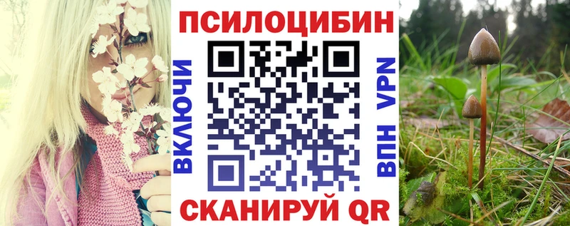 mega как зайти  Салехард  Псилоцибиновые грибы мицелий 